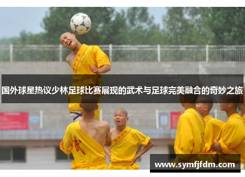 国外球星热议少林足球比赛展现的武术与足球完美融合的奇妙之旅
