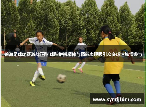 镇海足球比赛激战正酣 球队拼搏精神与精彩表现吸引众多球迷热情参与