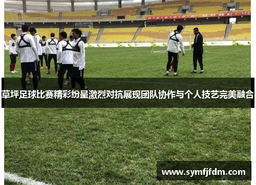 草坪足球比赛精彩纷呈激烈对抗展现团队协作与个人技艺完美融合